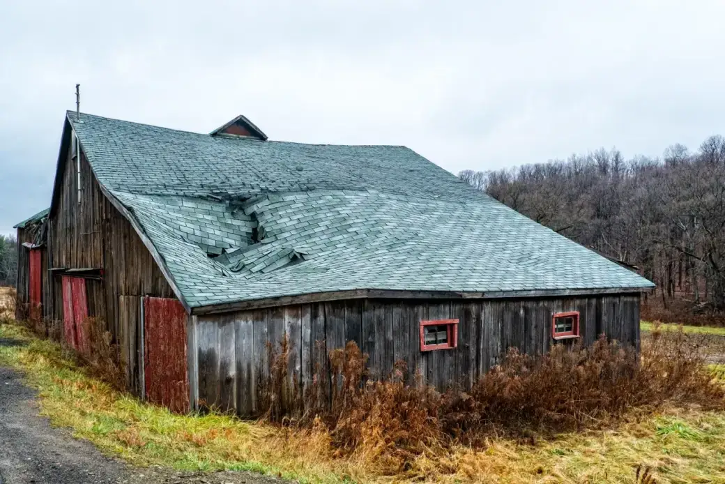 Before Failing Shingle Roof Compare Failing shingle roof on an outbuilding before replacement